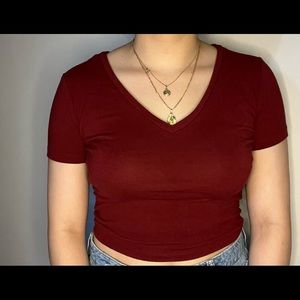 Wild Fable Burgundy Crop top